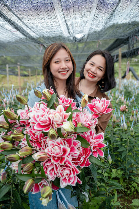 Hình ảnh vườn nho