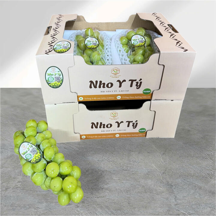 Hình ảnh vườn nho