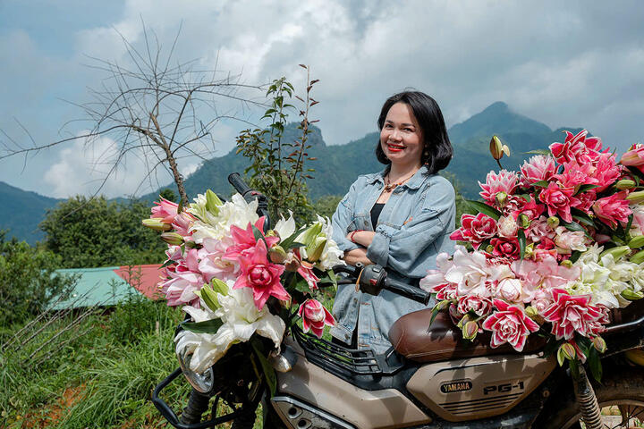 Hình ảnh vườn nho