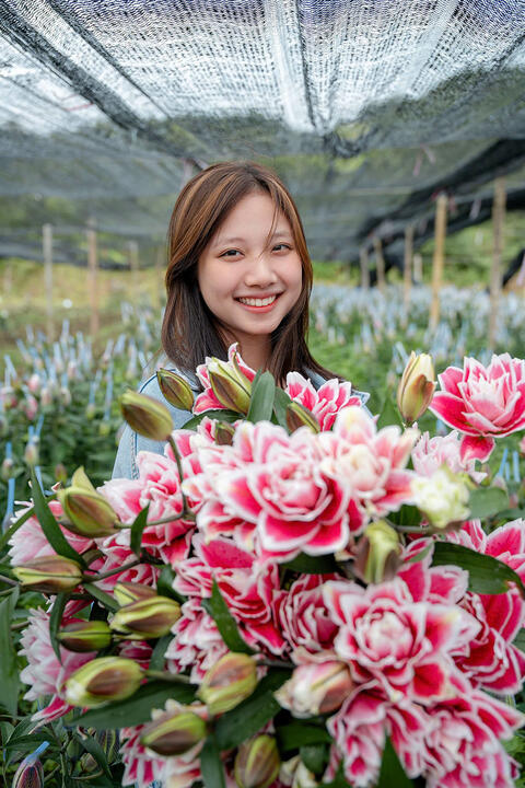 Hình ảnh vườn nho